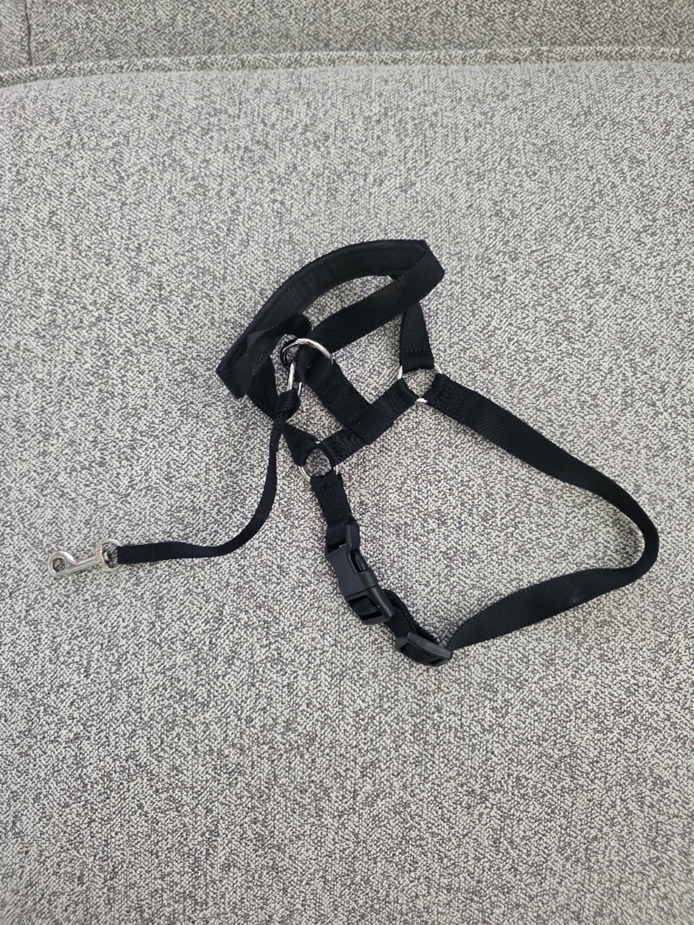 Every Yay Dog Head Halter Leash Harness Gentle Steer - Size Medium